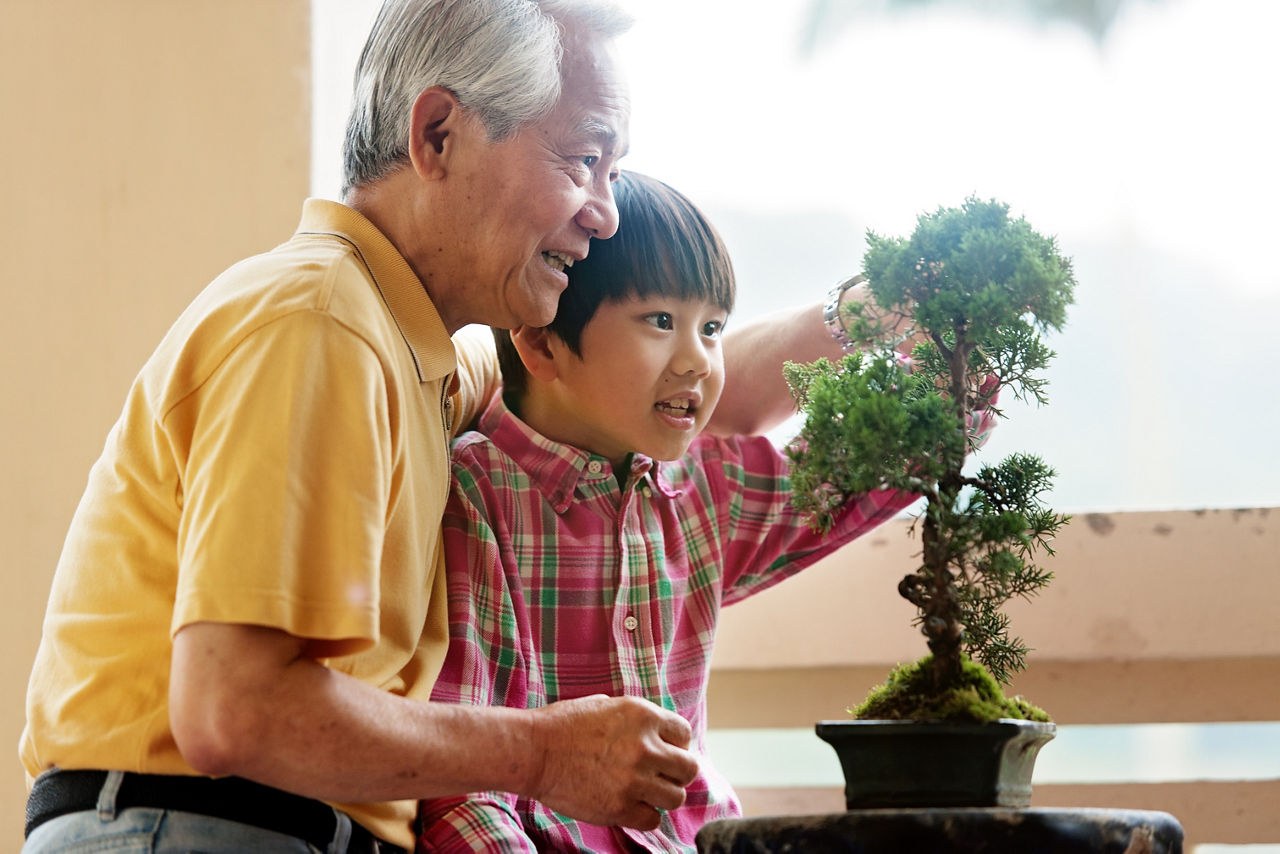 Wealth and Investments