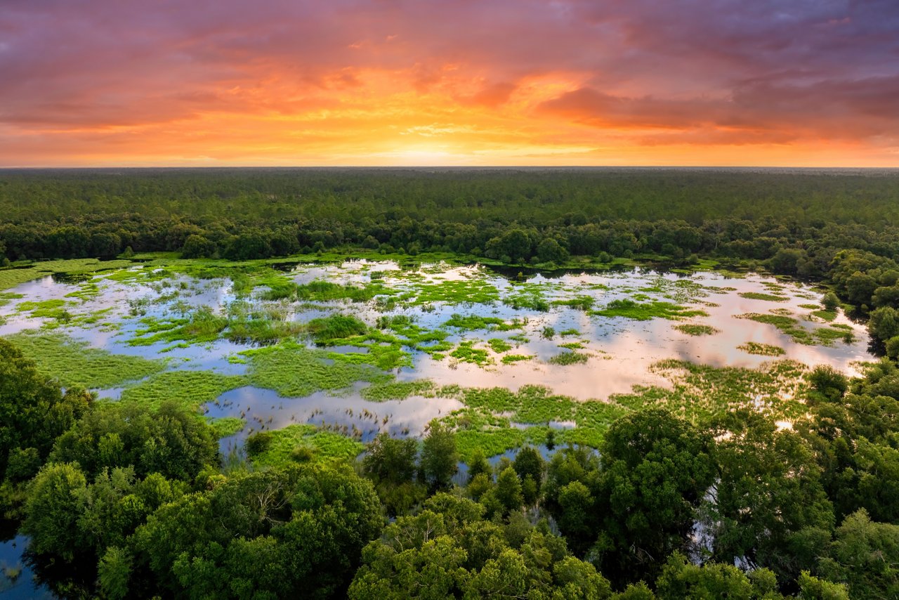 Mainstreaming responsible investments in emerging markets