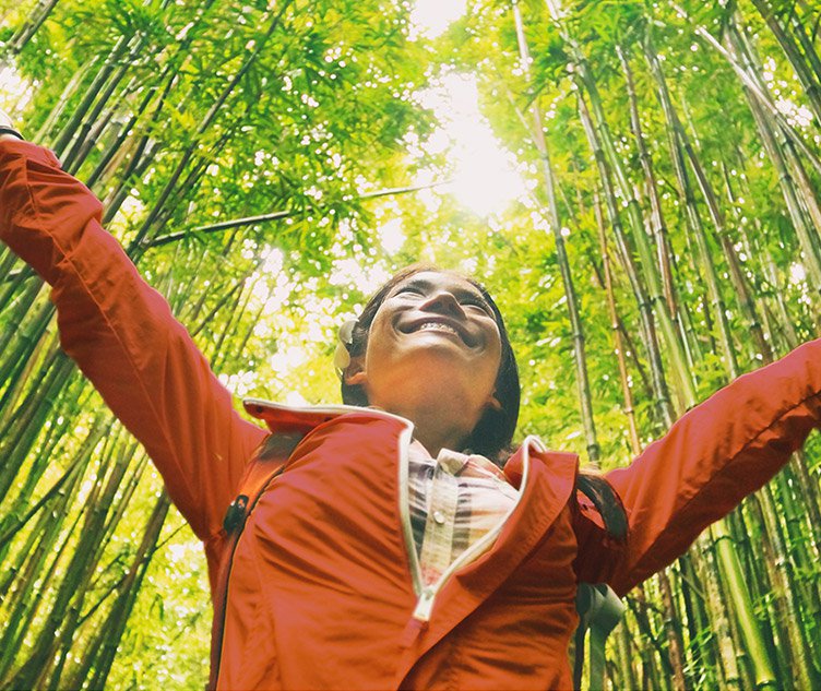 Financing the Transition