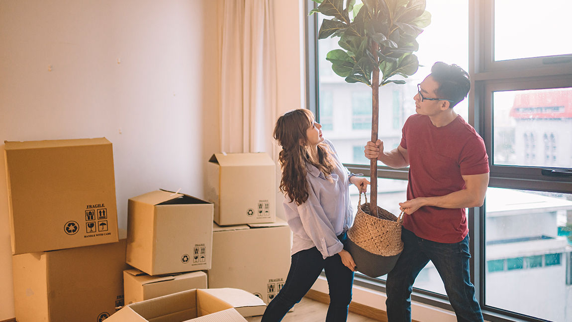 We do companionship and love