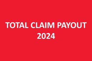 Total claims payout: Claims amount paid in 2024