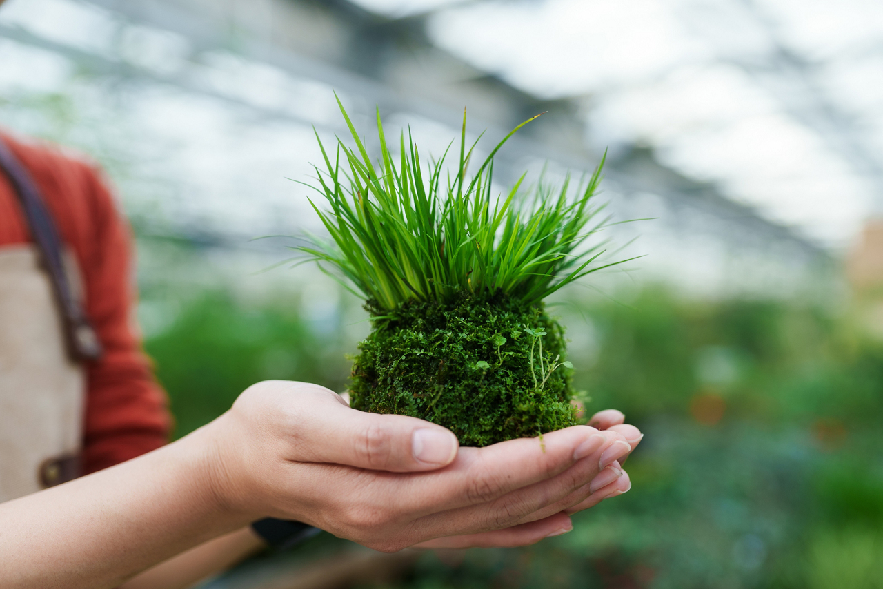 Memberships & commitments