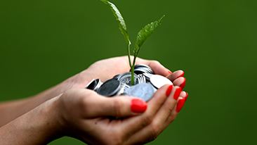 Investasi Bodong: Cara Mengenali dan Menghindari Penipuan