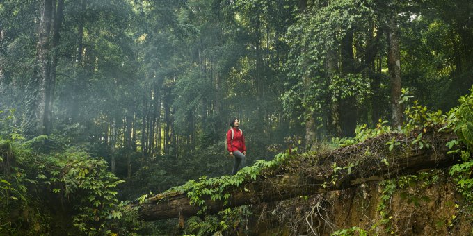 Climate and Health Resilience Fund