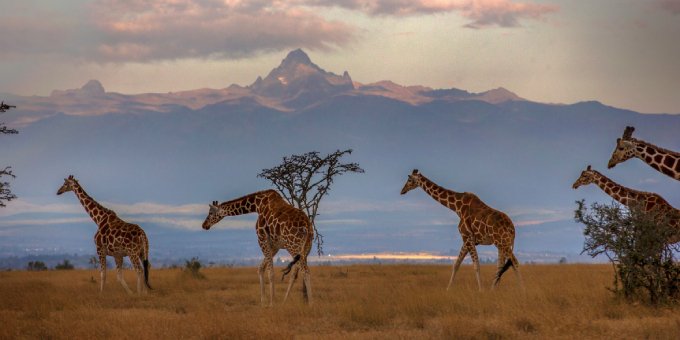 Climate and Health programming approach