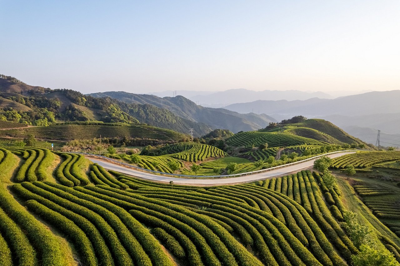 Financing a just and inclusive transition