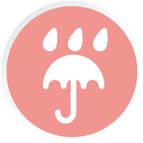 Rainy icon