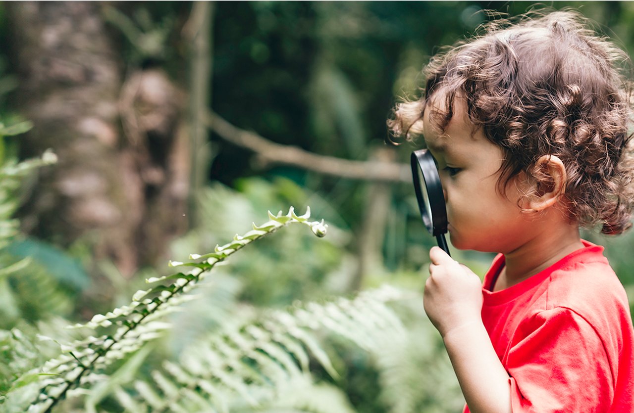 深入發掘我們的精彩資訊