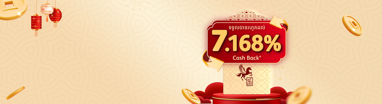 chinese new year campaign