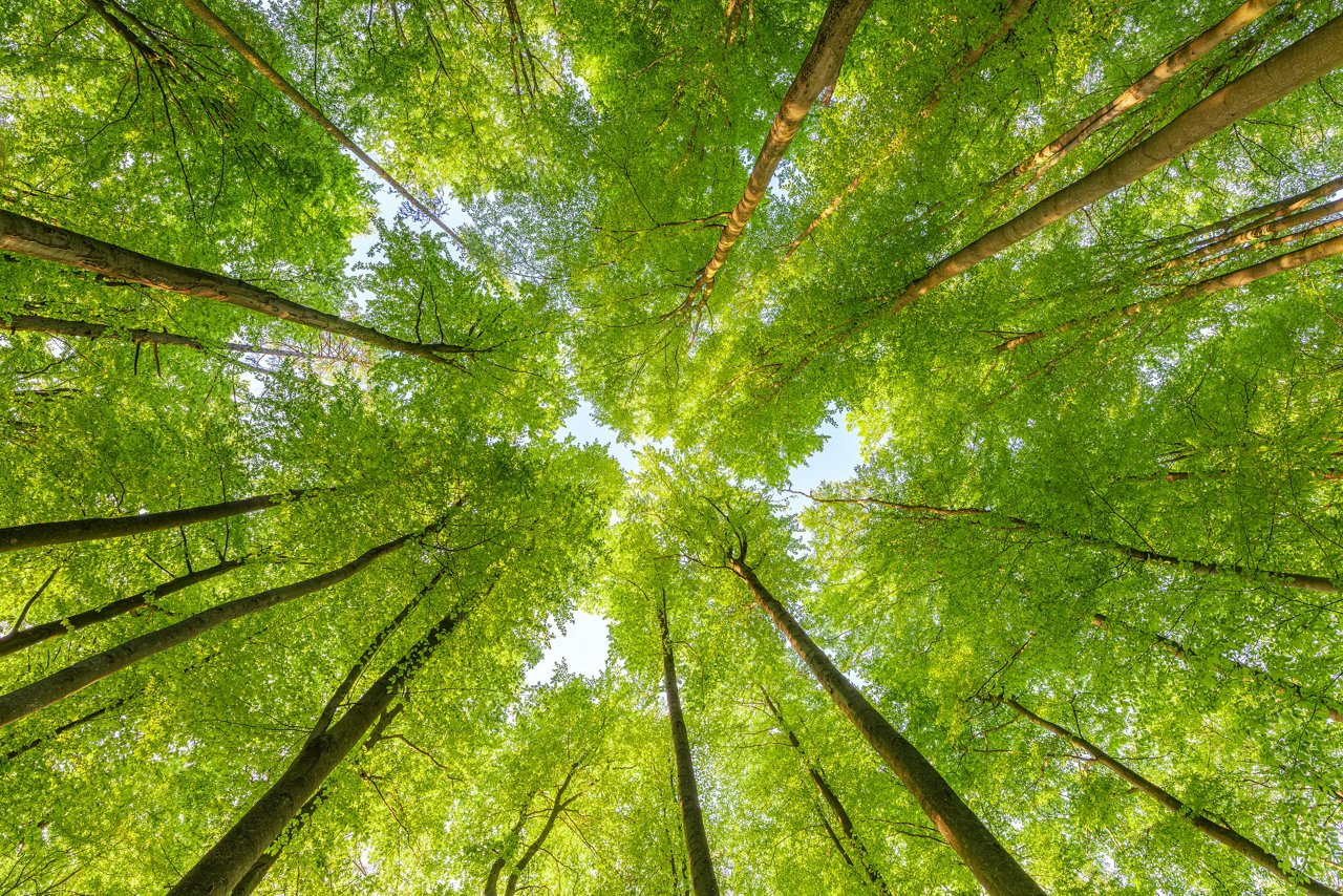 Managing our direct impact on the environment