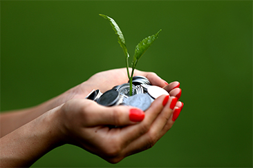 Monthly Investments Plans