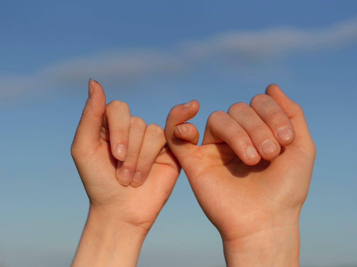 Our claim promise