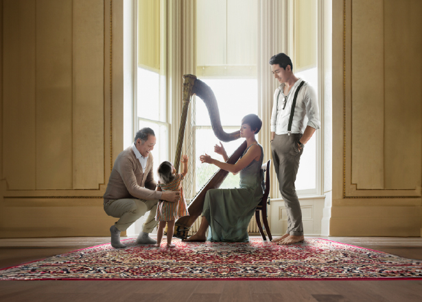 Prime Vantage Protector