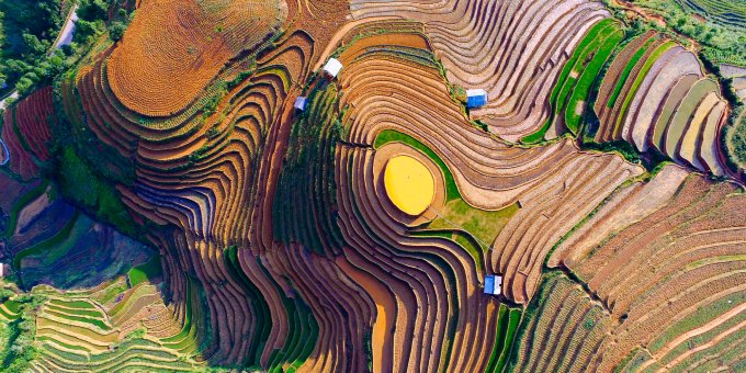 Proactive Healthcare Ecosystem