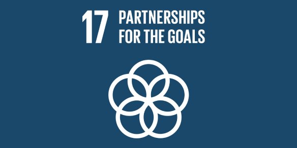 partnerships fot the goals