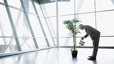 5 Tanaman Herbal Peningkat Imun Tubuh | Prudential Indonesia