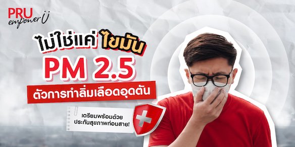 ฝุ่น PM 2.5 ทำให้ลิ่มเลือดอุดตันได้ไหม