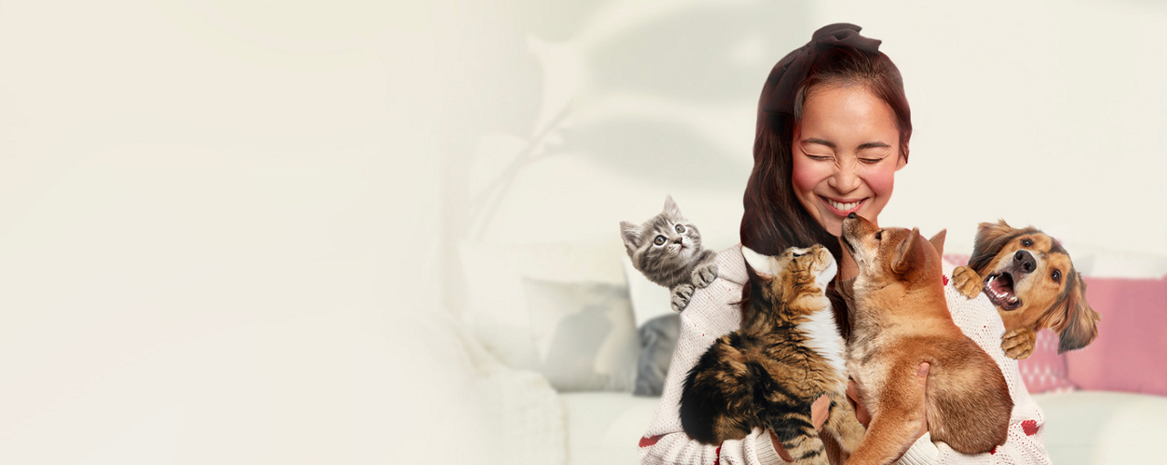 สัตว์เลี้ยงช่วยให้สุขภาพจิตดีได้จริงหรือ?