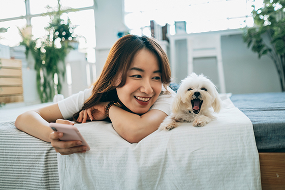 寵物醫療費用不容低估