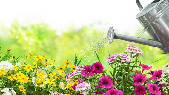 深耕本地市場 為港人健康護航