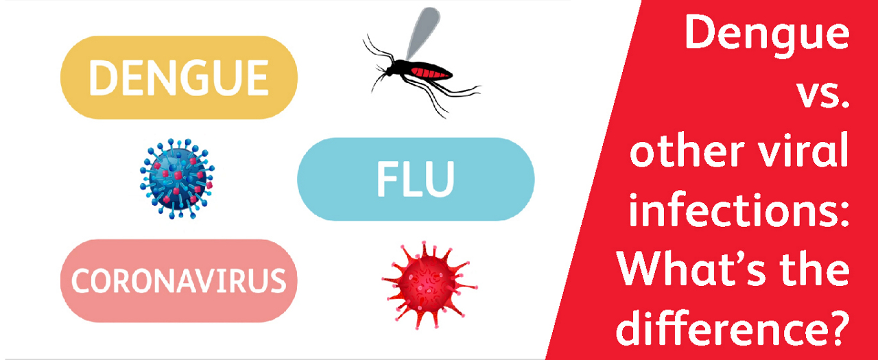 Dengue vs. other viral infections: What’s the difference?