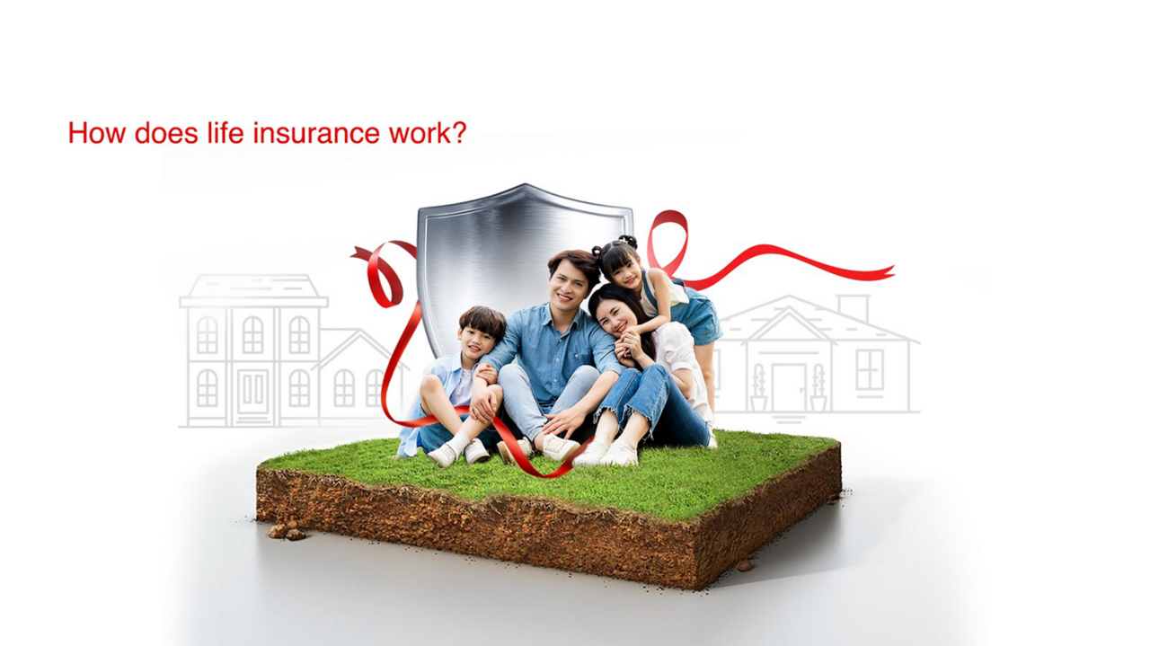 How does Life Insurance work?