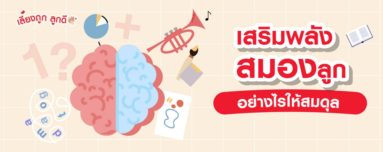 สมองซีกซ้าย สมองซีกขวา ทำงานอย่างไร? พัฒนาแบบไหนให้บาลานซ์
