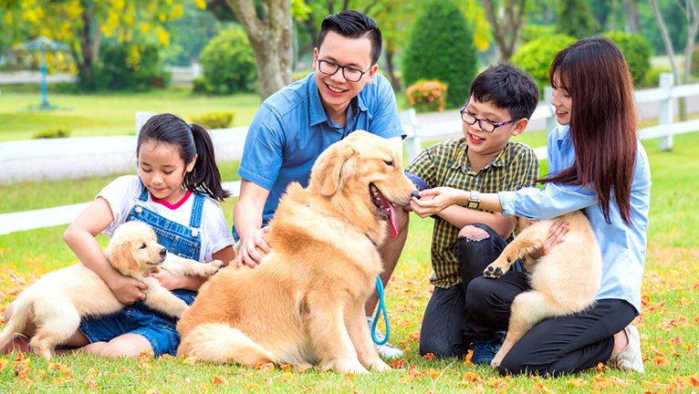 金會旺終身保險(113)( 定期給付型)｜保誠人壽