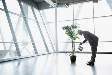 Financial Resilience Through Education