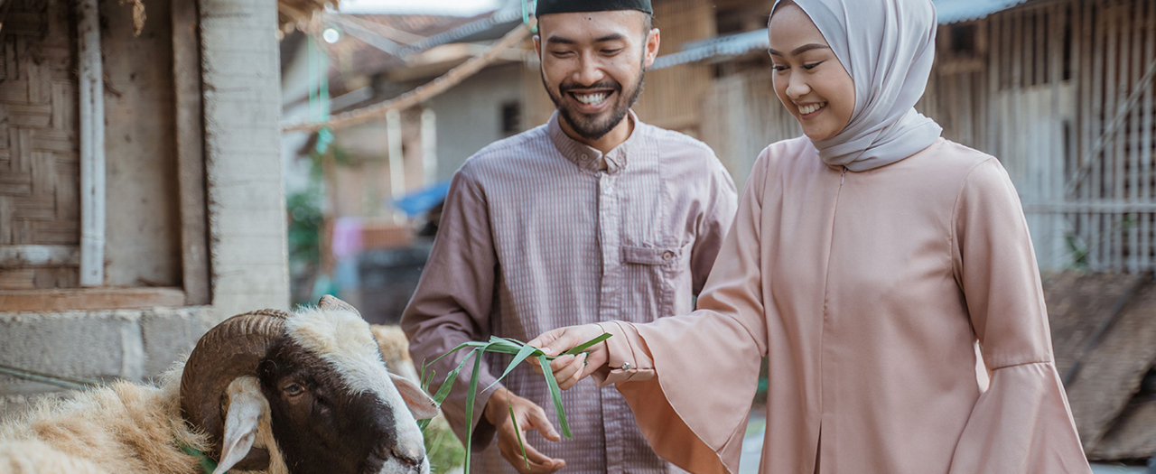 10 Perbedaan Qurban dan Aqiqah yang Wajib untuk Dipahami