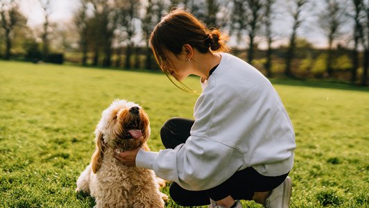 保誠精選「寵愛寶」寵物保障