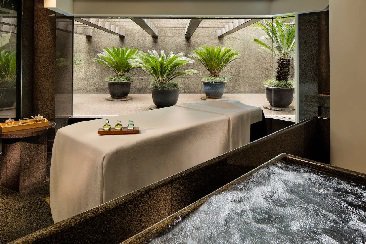 【Plateau Spa】Enjoy travel Plateau Spa for two, 2nd guest with 50% off