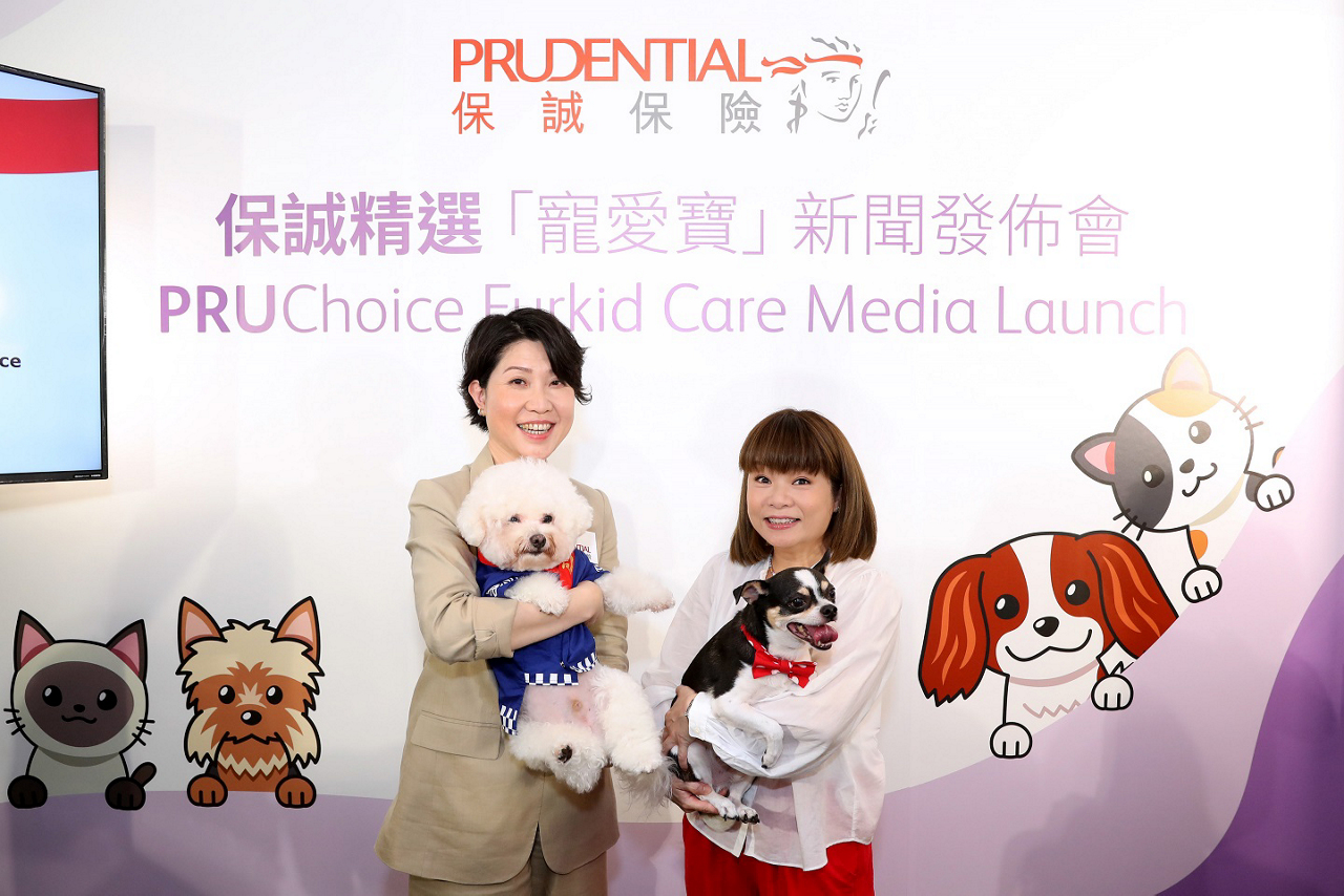 press-release-furkid