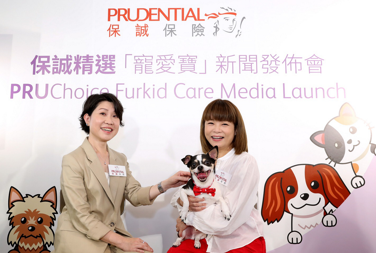 press-release-furkid