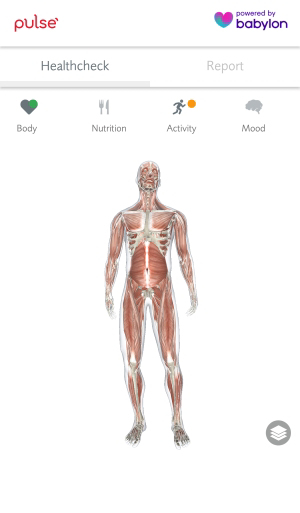 Screenshot of Pulse Health Check Feature 
