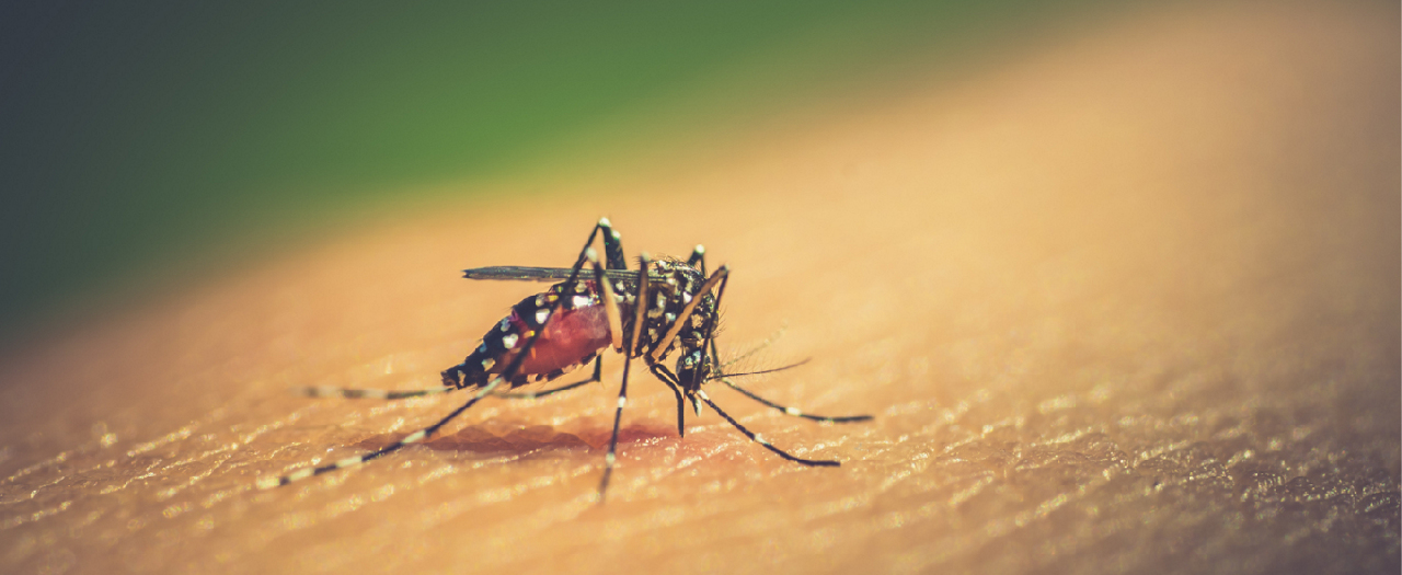 This is How Severe Dengue Symptoms Can Get
