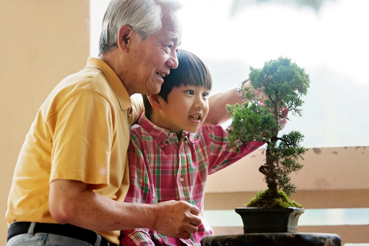 Wealth and Investments