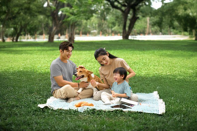 個人壽險 理賠報告