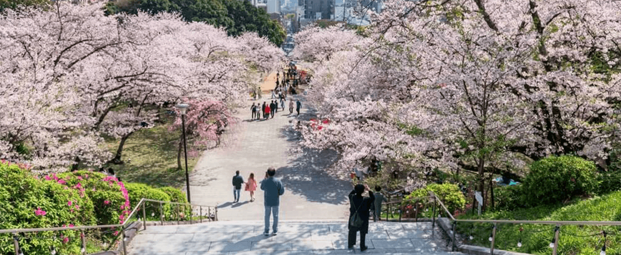 ไกด์เที่ยวญี่ปุ่น 4 ฤดู : เที่ยวญี่ปุ่นเดือนไหนดีในปี 2568