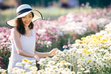 15 loại hoa 8/3 đẹp, ý nghĩa ‘đốn tim’ chị em phụ nữ