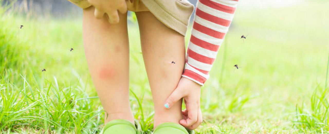 โรคไข้เลือดออก อาการที่รู้ทันก็ไม่น่ากลัวอย่างที่คิด