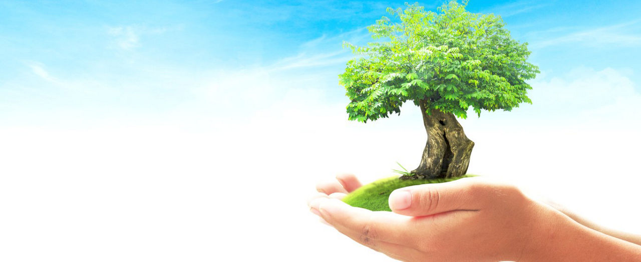 Tích lũy là gì? Bước đầu cho người mới học đầu tư