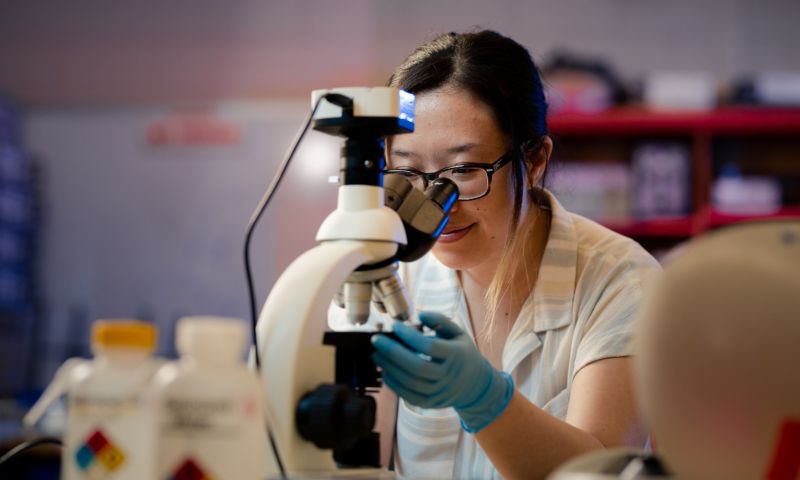 Student looking in microscope