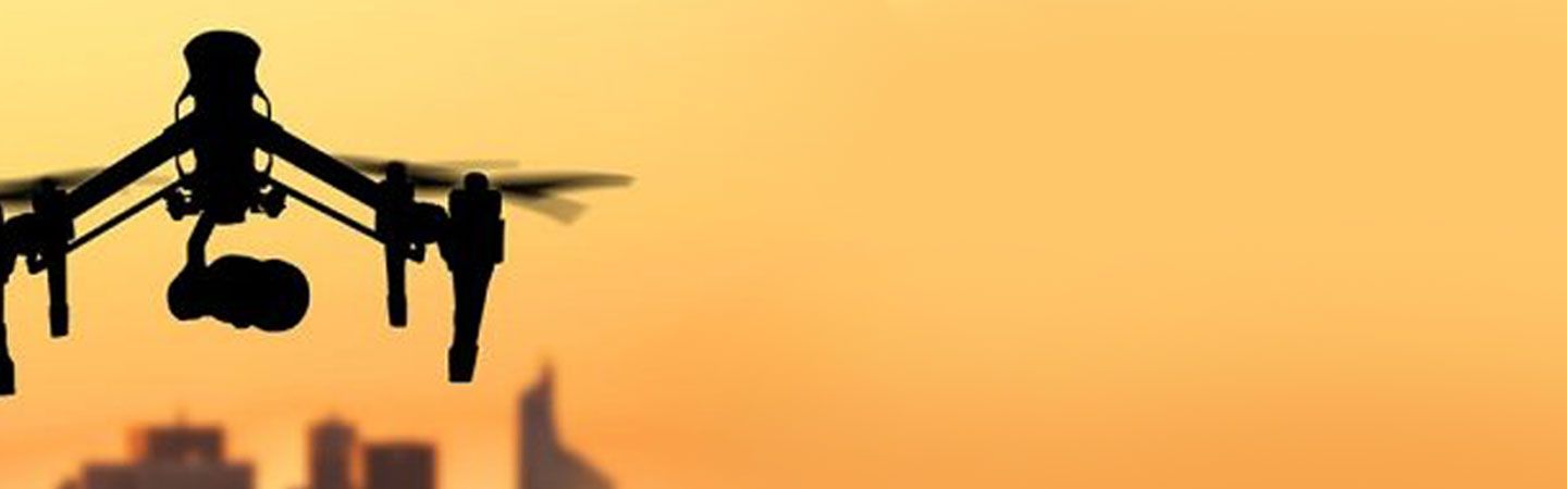 Header-Capability.jpg