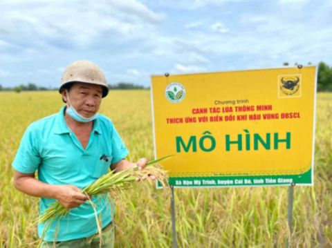 binh-dien-fertiliser-2.jpg