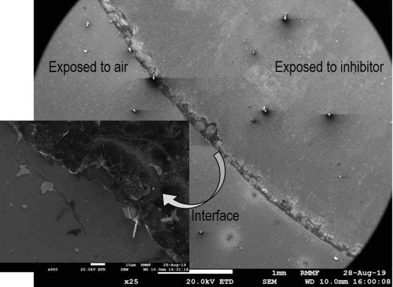 SEM image of the interface of a submersed AA2024‑T3 in a 2‑MBT solution for 30 days