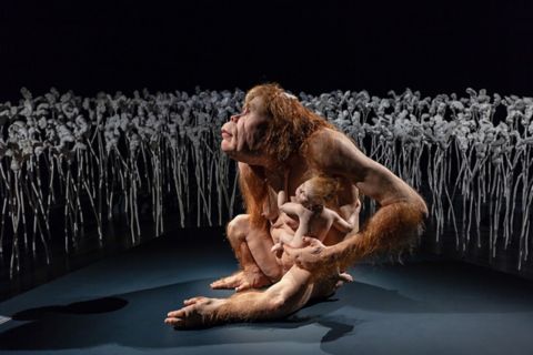 curious-affection-thumbnail-patricia-piccinini-1200x800.jpg