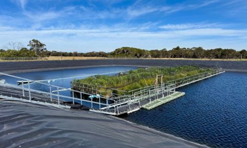 floating-wetland-thumbnail.jpg