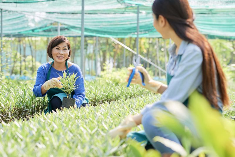 Social entrepreneurship could help Southeast Asia tackle its biggest sustainability challenges. (Image: Magnific) 