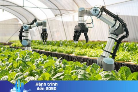 Robot trong nhà kính trồng rau